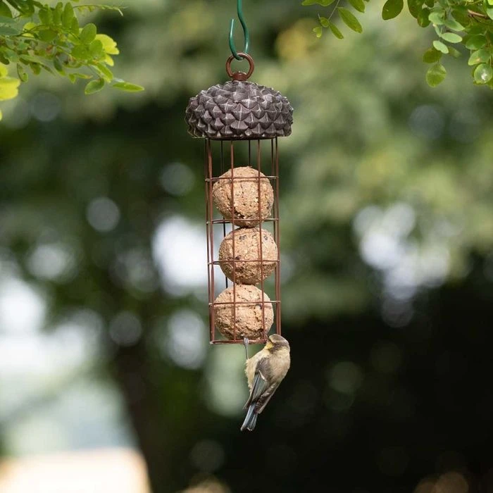 Acorn Fat Ball Bird Feeder 5 Acorn Fat Ball Bird Feeder - Image 3