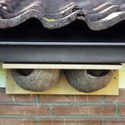 House Martin Nest (Double) -Nature Home Sales 90051 1