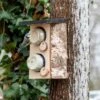 Quebec Double Peanut Butter Bird Feeder -Nature Home Sales 901650119 jvg 5099
