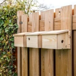 House Sparrow Multi Nest Box 34mm -Nature Home Sales 901670120 901690120 901680120 house sparrow multi box sw low res 9474 1