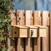 House Sparrow Multi Nest Box 34mm -Nature Home Sales 901670120 901690120 901680120 house sparrow multi box sw low res 9654