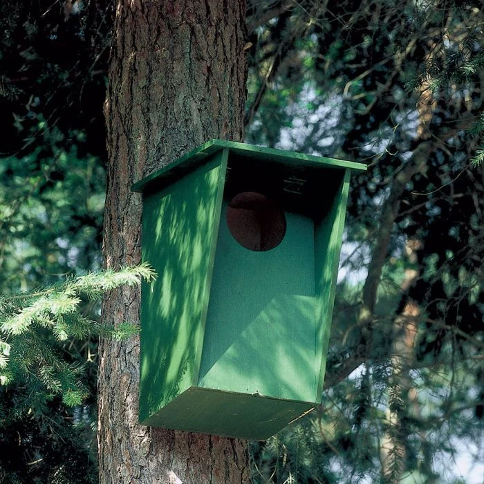 Tawny Owl, Stock Dove And Jackdaw Nest Box 4 Tawny Owl, Stock Dove And Jackdaw Nest Box - Image 2