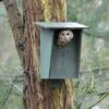 Tawny Owl, Stock Dove And Jackdaw Nest Box 2 Tawny Owl, Stock Dove And Jackdaw Nest Box -Nature Home Sales 90327 5