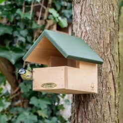 Blackbird Open Nest Box