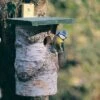 National Trust Birch Log Nest Box 32mm Hole -Nature Home Sales 90512 1