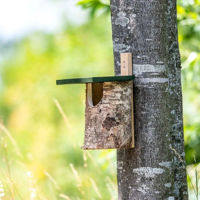 National Trust Birch Open Nest Box 3 National Trust Birch Open Nest Box