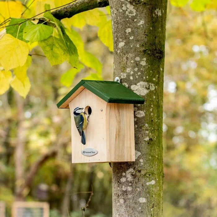 National Trust Blue Tit Nest Box 28mm Gift Set 3 National Trust Blue Tit Nest Box 28mm Gift Set