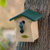 Bonaire 28mm Nest Box -Nature Home Sales 90535 1