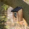 Travis 32mm Nest Box -Nature Home Sales 906120119 5