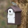 WoodStone® Seville 32mm Nest Box (Brown) -Nature Home Sales 90730 1
