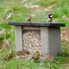 WoodStone® Ground Feeder -Nature Home Sales 90739 1