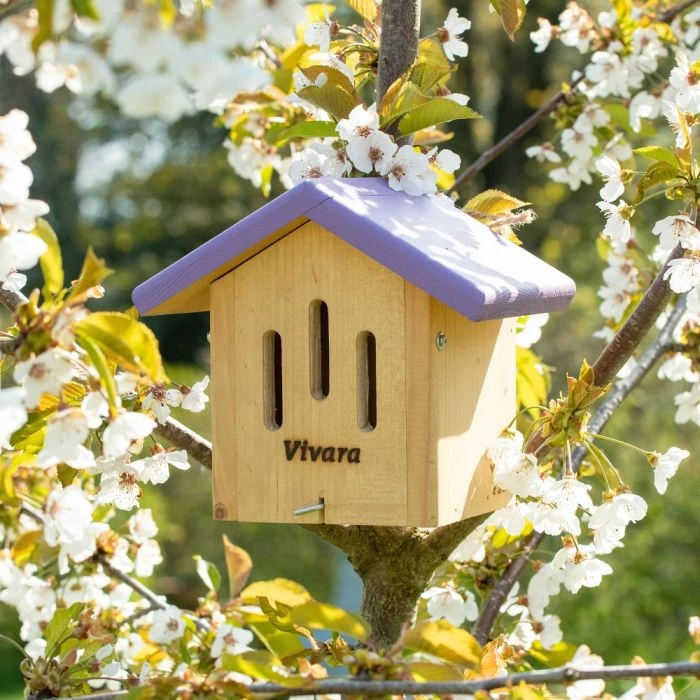 Ithaca Limited Edition Butterfly House 3 Ithaca Limited Edition Butterfly House