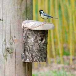 Stockholm 32mm Nest Box