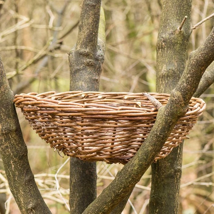 Nesting Basket For Long Eared Owl 3 Nesting Basket For Long Eared Owl
