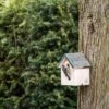 Helsinki 28mm Nest Box -Nature Home Sales 909760119 helsinki nest box 28 mm sw low res 9171