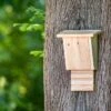 Build-Your-Own Igor Bat Box -Nature Home Sales 910230119 igor bat box sw low res 4748