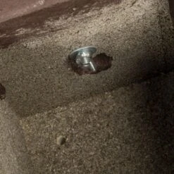 Hazel Dormouse Nest Box 9 Hazel Dormouse Nest Box -Nature Home Sales 915020120 pro dormouse nest box 26mm 9714 qm