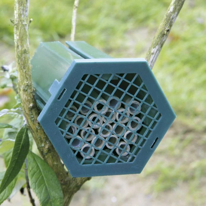 Solitary Bee Nest Box 4 Solitary Bee Nest Box - Image 2