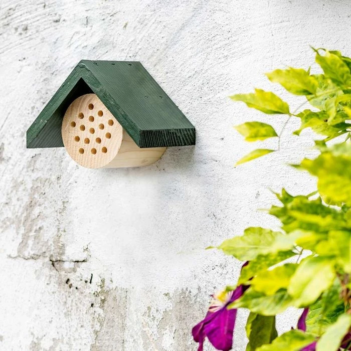 Bee Hotel Pantelleria 4 Bee Hotel Pantelleria - Image 2