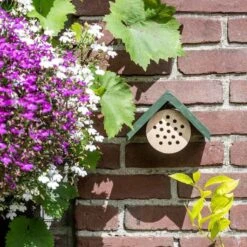 Bee Hotel Pantelleria 9 Bee Hotel Pantelleria -Nature Home Sales 92119 jvg 9084