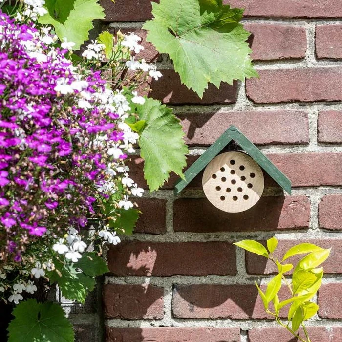 Bee Hotel Pantelleria 5 Bee Hotel Pantelleria - Image 3