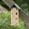 Bee Hotel Ustica 1 Bee Hotel Ustica -Nature Home Sales 92120 5