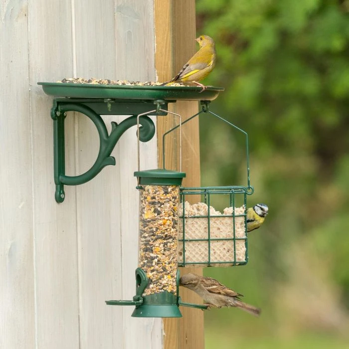 Organic Premium Bird Seed Mix 2.5kg 7 Organic Premium Bird Seed Mix 2.5kg - Image 5