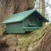 Little Owl Apex Nest Box 1 Little Owl Apex Nest Box -Nature Home Sales 93049 1