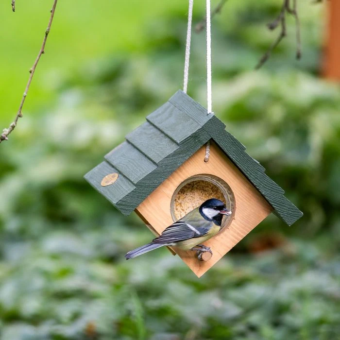 Lifford Hanging Double Peanut Butter Feeder 4 Lifford Hanging Double Peanut Butter Feeder - Image 2