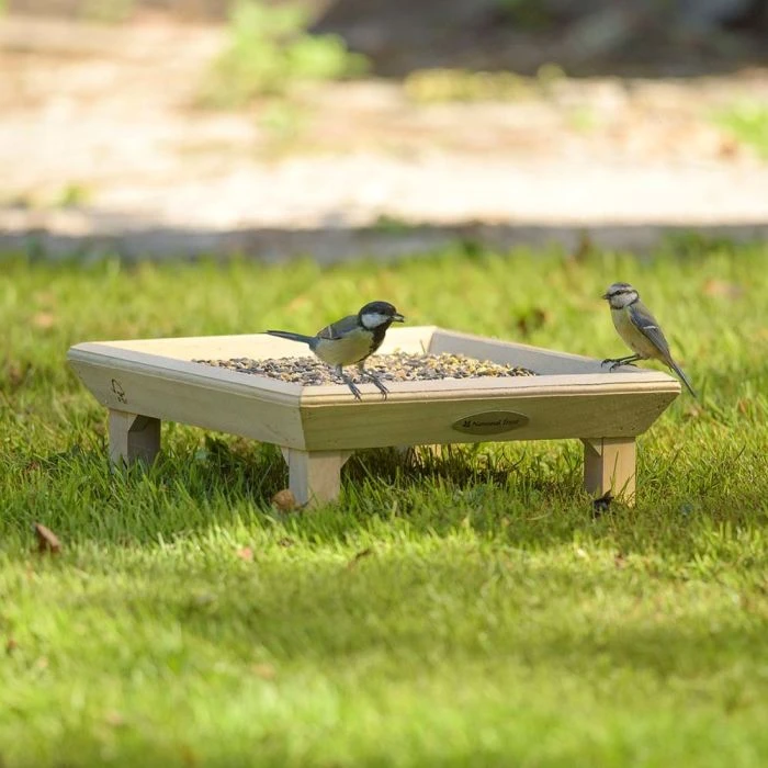 National Trust Ground Bird Feeding Table 4 National Trust Ground Bird Feeding Table - Image 2