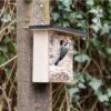 Bergen 32mm Nest Box -Nature Home Sales 93598 6 1