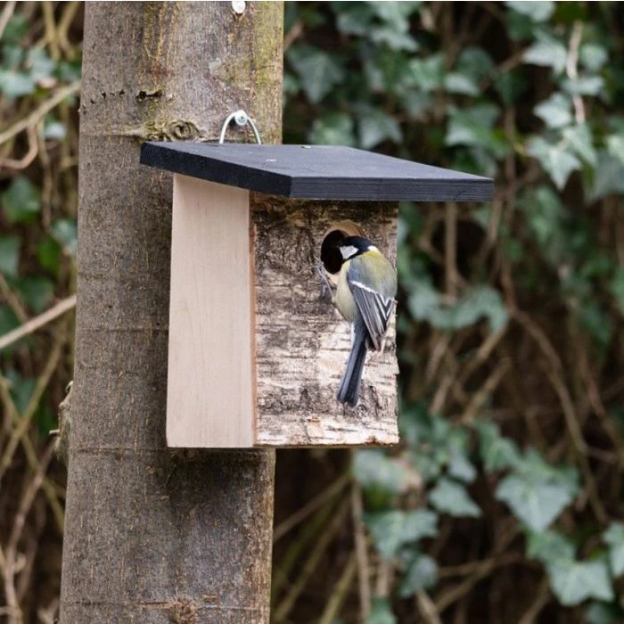 Stavanger 32mm Nest Box 3 Stavanger 32mm Nest Box