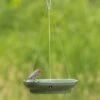 Vesi Hanging Bird Bath -Nature Home Sales 93838 hanging bird bath vesi