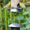 Bird Feeder Link 2 Bird Feeder Link -Nature Home Sales 94072