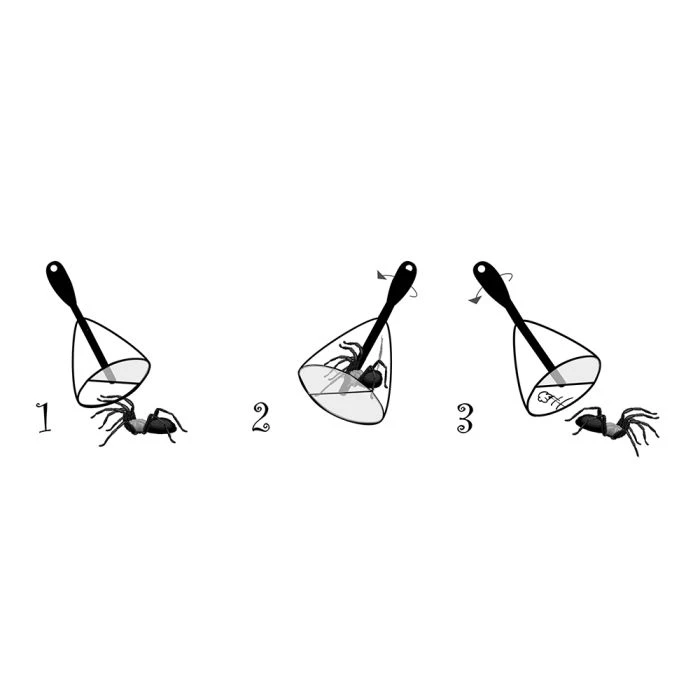 Bug Away Insect & Spider Catcher (long) 6 Bug Away Insect & Spider Catcher (long) - Image 4