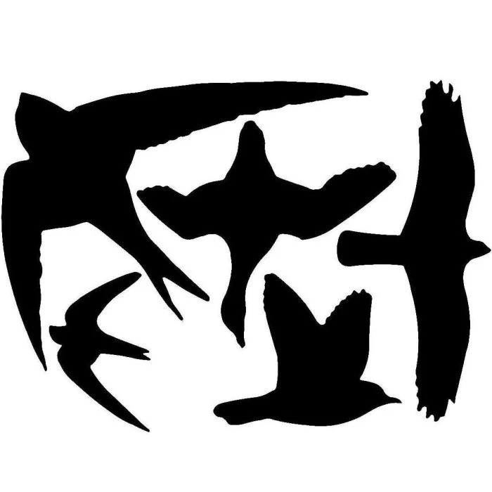 Bird Window Stickers 4 Bird Window Stickers - Image 2