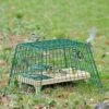 Ground Feeder Guardian 1 Ground Feeder Guardian -Nature Home Sales 94500 2 1
