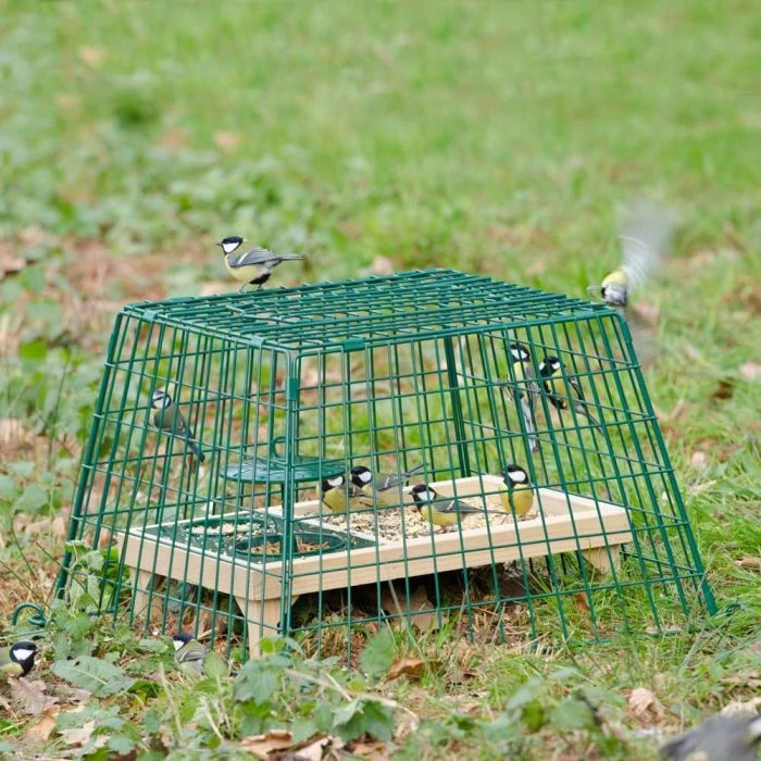 Ground Feeder Guardian 3 Ground Feeder Guardian