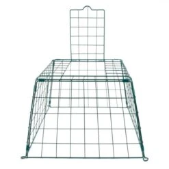 Ground Feeder Guardian 9 Ground Feeder Guardian -Nature Home Sales 94501 1 1