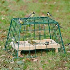 Ground Feeder Guardian 8 Ground Feeder Guardian -Nature Home Sales 94501 2 1