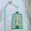 4 Port Bird Seed Feeder With Guardian 1 4 Port Bird Seed Feeder With Guardian -Nature Home Sales 94543 1 3 1