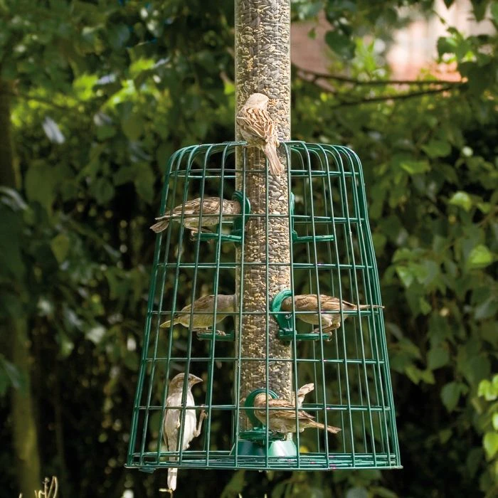 6 Port Bird Seed Feeder With Guardian 4 6 Port Bird Seed Feeder With Guardian - Image 2
