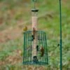 6 Port Bird Seed Feeder With Guardian 2 6 Port Bird Seed Feeder With Guardian -Nature Home Sales 945441 1