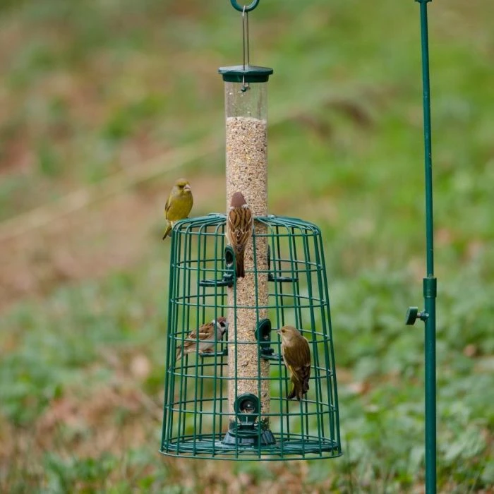 6 Port Bird Seed Feeder With Guardian 3 6 Port Bird Seed Feeder With Guardian