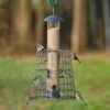 Adventurer 6 Port Bird Seed Feeder With Guardian 2 Adventurer 6 Port Bird Seed Feeder With Guardian -Nature Home Sales 945472 1