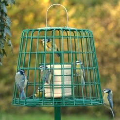 Fat Ball & Peanut Cake Guardian Bird Feeder -Nature Home Sales 94550