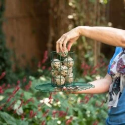 Fat Ball & Peanut Cake Guardian Bird Feeder -Nature Home Sales 9455001212