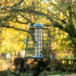 Guardian For Adventurer Seed Feeders -Nature Home Sales 94604 2