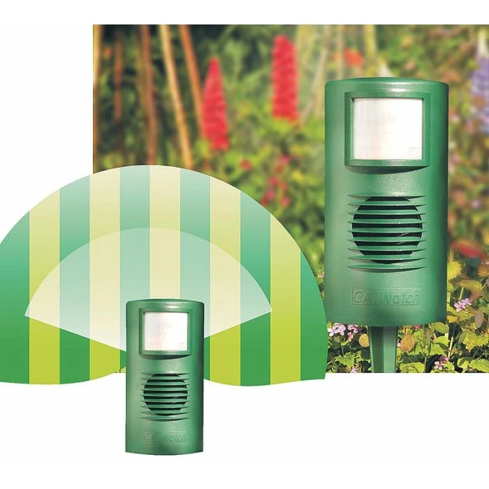 CatWatch & Accessories 4 CatWatch & Accessories - Image 2