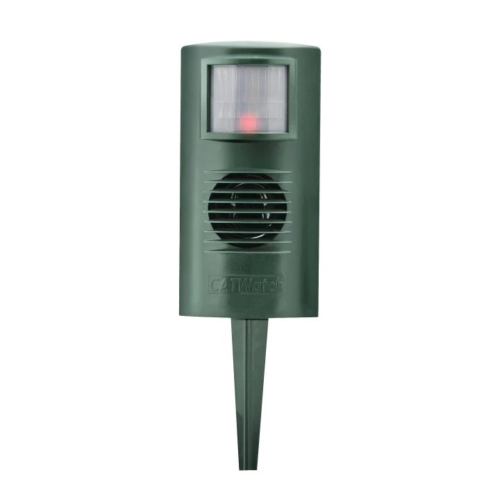 CatWatch & Accessories 6 CatWatch & Accessories - Image 4